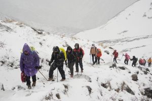 Hiking & Trekking